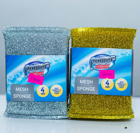 Mesh Sponge